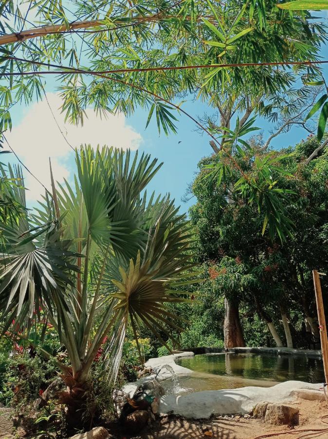 Hostal Dos Quebradas ซันตามาร์ตา ภายนอก รูปภาพ