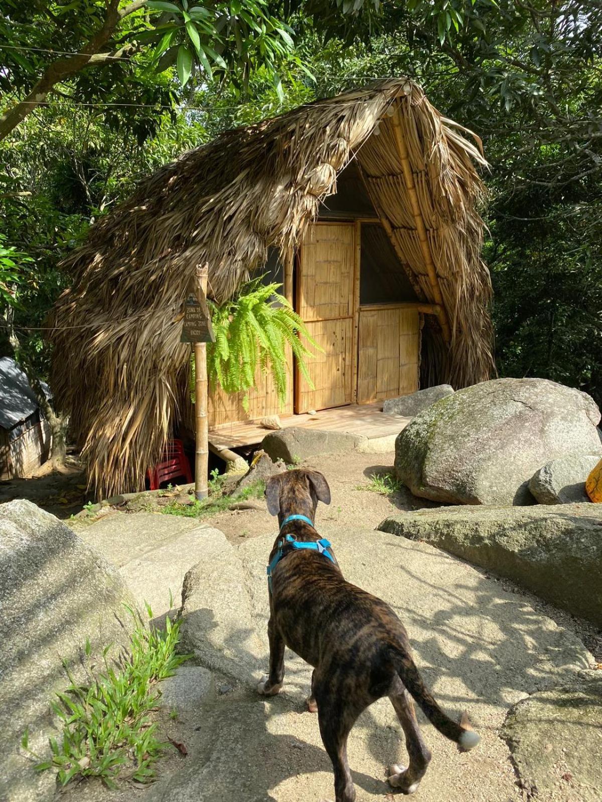 Hostal Dos Quebradas ซันตามาร์ตา ภายนอก รูปภาพ